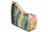 Free-Standing, Gary Green Jasper (Larsonite) Bog Wood - Oregon #334751-2
